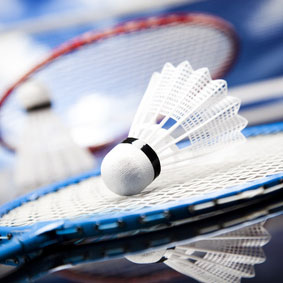 La Ligugeenne Badminton