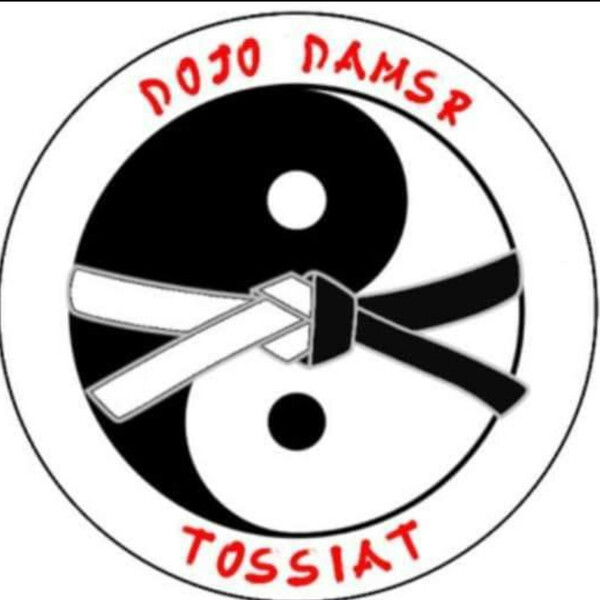 Dojo Arts Martiaux Sud Revermont (DAMSR) - club de Judo à TOSSIAT