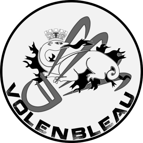 VOL EN BLEAU BADMINTON