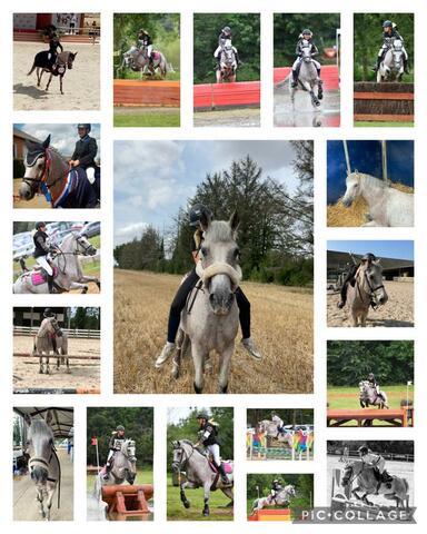 Earl Les Ecuries De Vervent