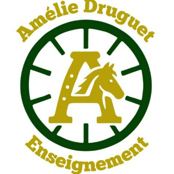 Amelie Druguet Enseignement - Centre équestre à AMBERIEUX-EN-DOMBES