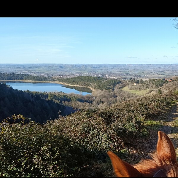les chevaux et moi - Centre équestre à REVEL